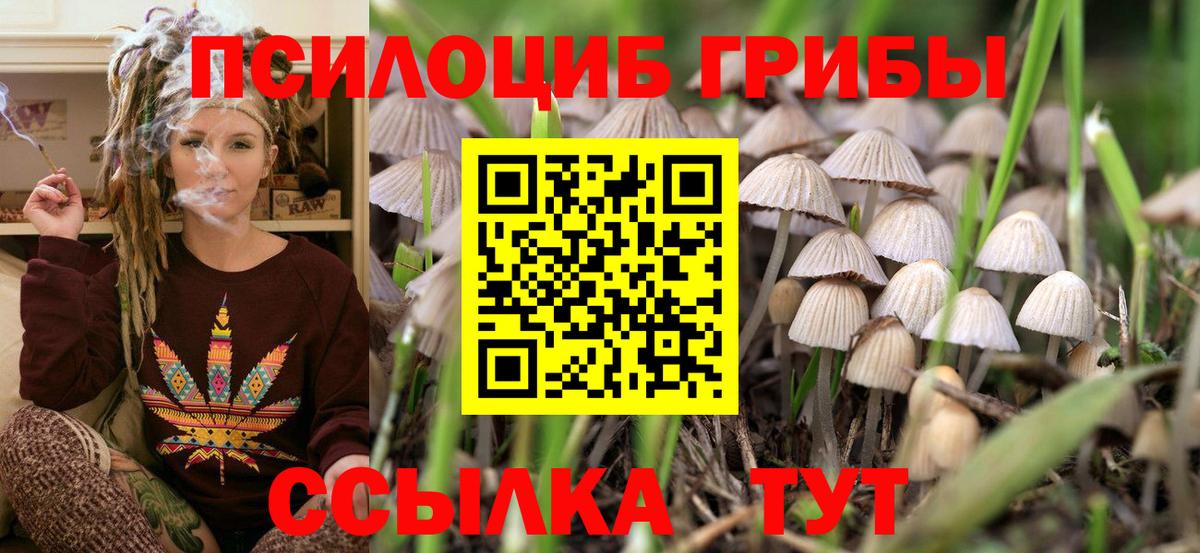 Псилоцибиновые грибы Psilocybine cubensis  Галлюциногенные грибы Psilocybine cubensis  Вход с VPN  Новошахтинск 