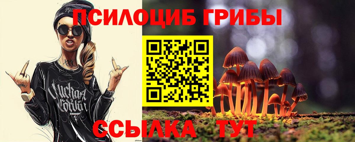 Галлюциногенные грибы прущие грибы Новошахтинск