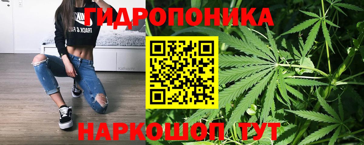 Канабис OG Kush Новошахтинск